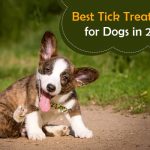 tick treatments for dogs