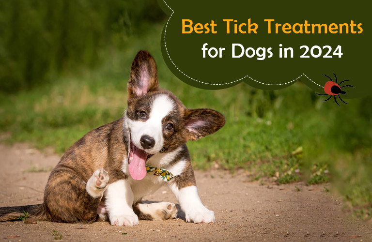 tick treatments for dogs