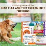 flea and tick treatments for dogs