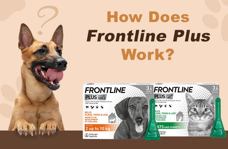 How Does Frontline Plus Work?