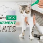 best tick treatment for cats