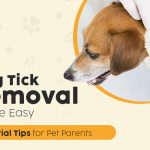 Dog Tick Removal Made Easy - Essential Tips for Pet Parents