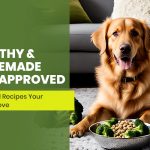 Healthy and Homemade: Vet-Approved Dog Food Recipes