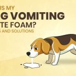 Why is My Dog Vomiting White Foam? Causes and Solutions