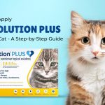 How to Apply Revolution Plus to Your Cat - A Step-by-Step Guide