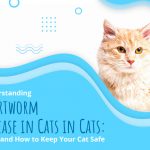 heartworm disease in cats