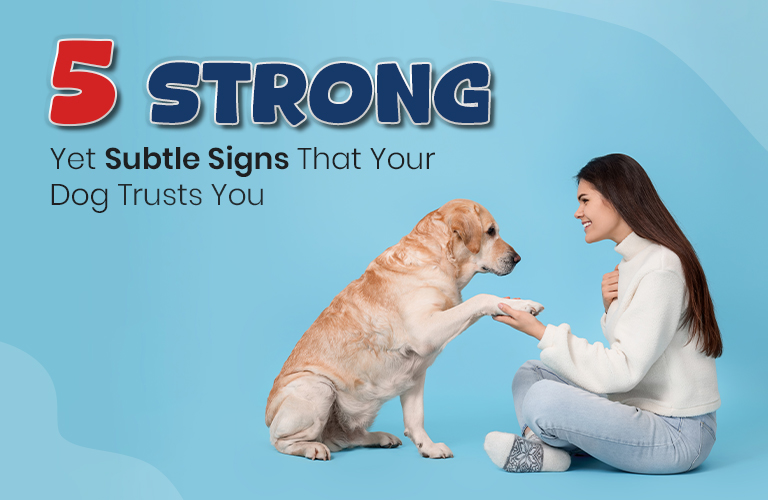 5 Strong Yet Subtle Signs That Your Dog Trusts You