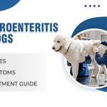 Gastroenteritis in Dogs: Causes, Symptoms, and Treatment Guide