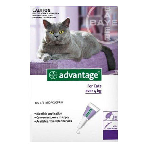 Advantage-Cats-Over-10lbs-Purple-4-Doses.jpg