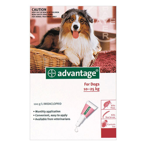 Advantage-Large-Dogs-21-55lbs-Red-4-Doses.jpg