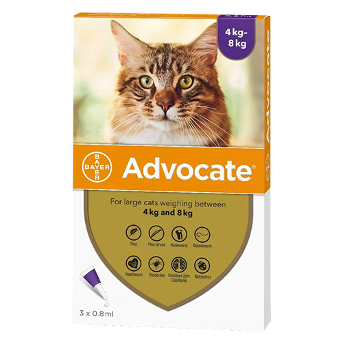 Advocate-for-Cats-For-Cats-Over-4Kg-Purple-3-Pack.jpg