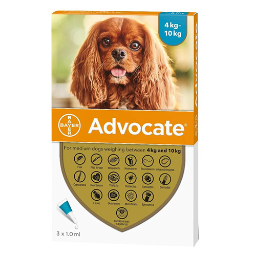 Advocate-for-Dogs-For-Medium-Dogs-4-To-10Kg-Aqua-3-Pipettes.jpg