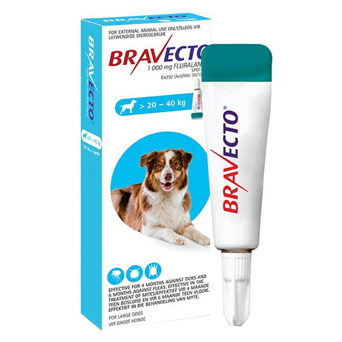 Bravecto-Topical-For-Large-Dogs-44-88-Lbs-Blue-1-Dose.jpg