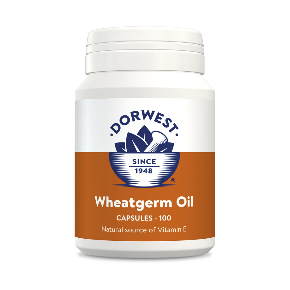 Dorwest-Wheatgerm-Oil-Capsules-for-Dogs-and-Cats-100caps_08102023_214127.jpg