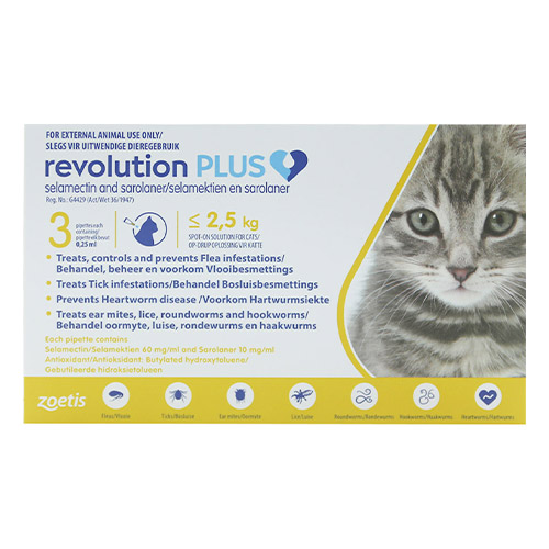 Revolution Plus